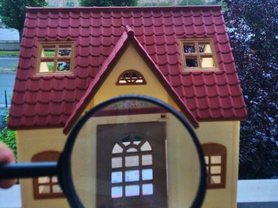 magnified house